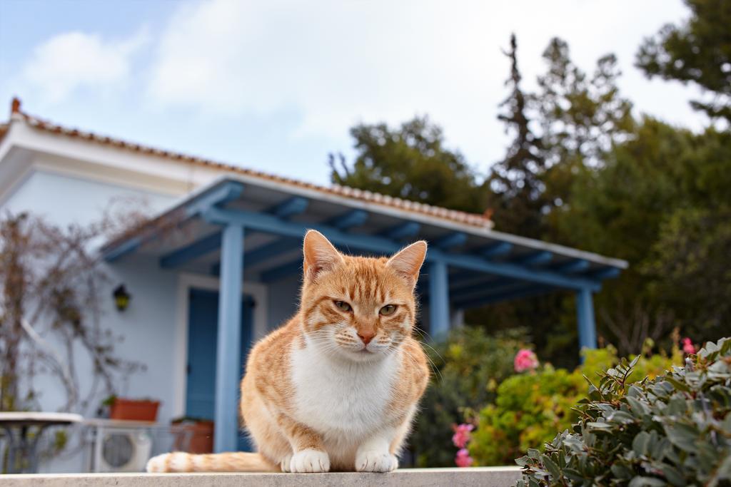 Villa Irini Порто Хели Екстериор снимка
