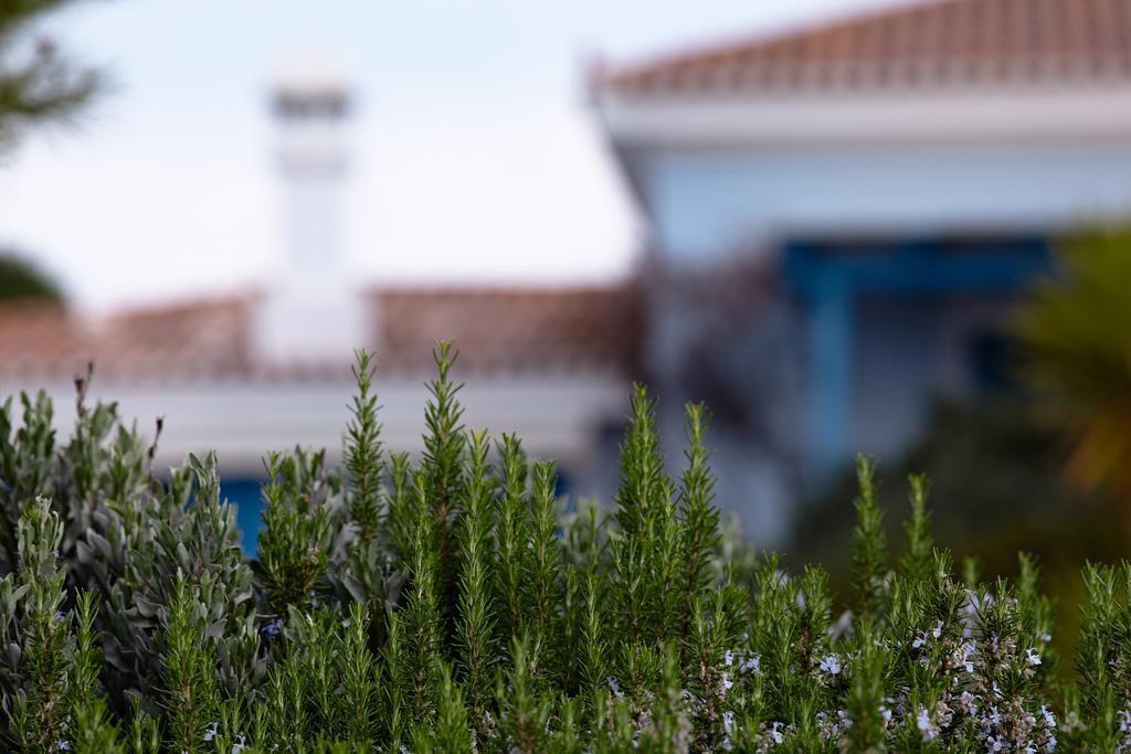 Villa Irini Порто Хели Екстериор снимка